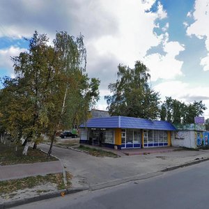 Sviatoshynska vulytsia, 28А, Vyshneve: photo