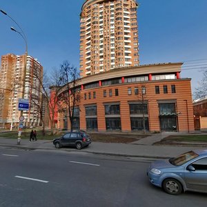 Lesi Ukrainky Boulevard, 23Б ، كييف: صورة
