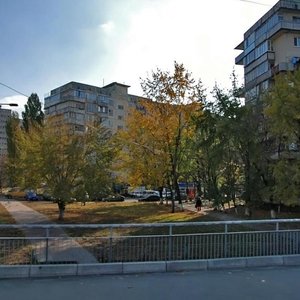 Marshala Tymoshenka Street, 2А, Kyiv: photo