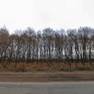 Тула, Новомосковское шоссе, 25: фото