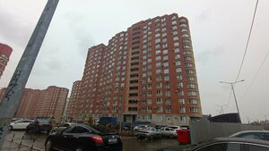 Polyanichko street, 12, Orenburg: photo