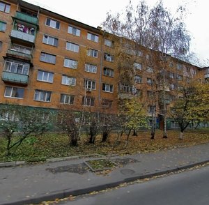 Kopernyka Street, 27, Kyiv: photo