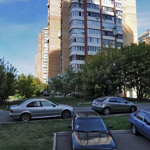Lesi Ukrainky Boulevard, 21Б, Kyiv: photo