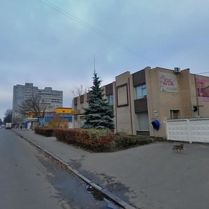 Volynska Street, 47, Kyiv: photo