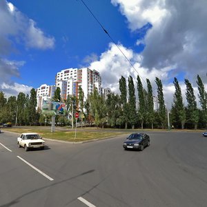 Borodina Street, 4, Penza: photo