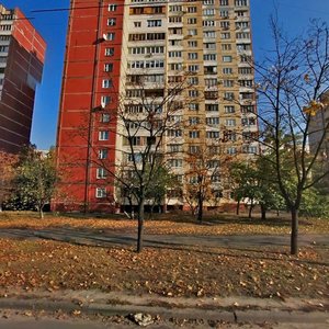 Raiduzhna Street, No:5, Kiev: Fotoğraflar