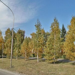 Kosmonavtov Avenue, 12, Barnaul: photo
