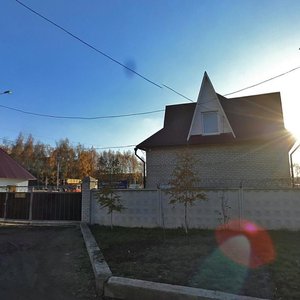 Gorodskoy Lane, 50, Tula: photo