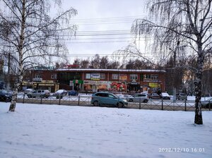 Омск, Улица Ярослава Гашека, 3/3: фото