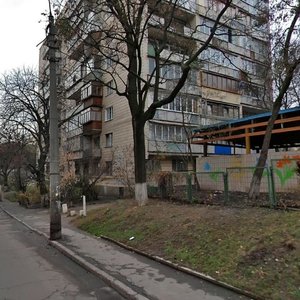 Vilhelma Kotarbinskoho Street, 22, Kyiv: photo