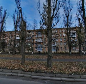 Vatslava Havela Boulevard, 75, Kyiv: photo