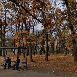 Aviakonstruktora Antonova Street, 2/32к6, Kyiv: photo