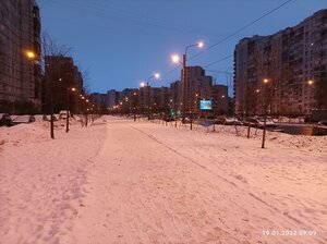 Санкт‑Петербург, Улица Кораблестроителей, 31к1: фото