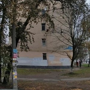 Vadyma Hetmana Street, 38, Kyiv: photo