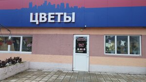 Пинск, Брестская улица, 72Б: фото