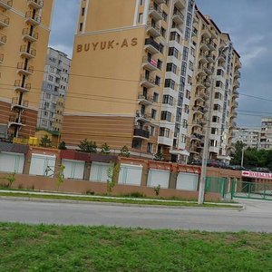 Kovylnaya street, 86, Simferopol: photo