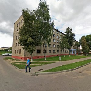 Lidskaja Street, 23, Grodno: photo