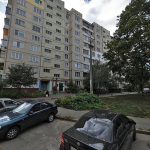 Yaroslava Ivashkevycha Street, 3, Kyiv: photo