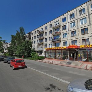 Narodnogo Opolcheniya Avenue, 233, Saint Petersburg: photo