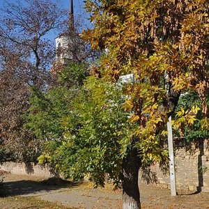 Херсон, Улица Виктора Гошкевича, 2: фото