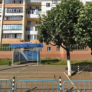 Rabochaya Street, 10, Saransk: photo