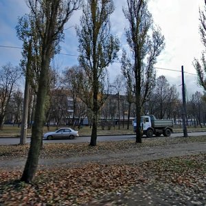 Vatslava Havela Boulevard, 43, Kyiv: photo