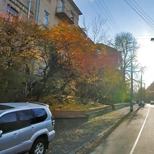 Liuteranska Street, 19, Kyiv: photo