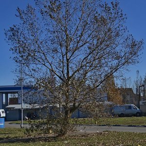 Yuzhny Obkhod Street, 15, Stavropol: photo