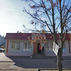Polova vulytsia, 66В, : foto