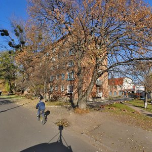 Vulytsia Andreia Sheptytskoho, 10, : foto