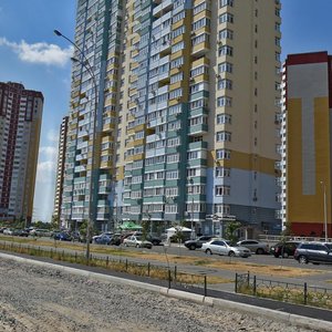 Киев, Улица Елизаветы Чавдар, 24: фото
