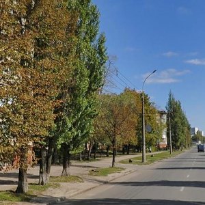 Vulytsia Tankopiia, 35, Kharkiv: photo