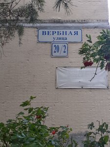 Verbnaya Street, 20/2, Saint Petersburg: photo