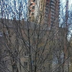 Leonida Pervomaiskoho Street, 9, Kyiv: photo