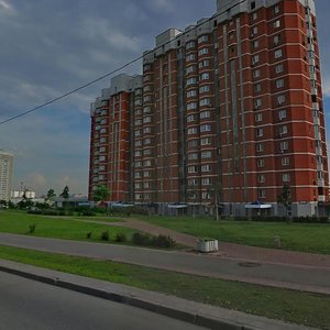 Москва, Новокуркинское шоссе, 31: фото