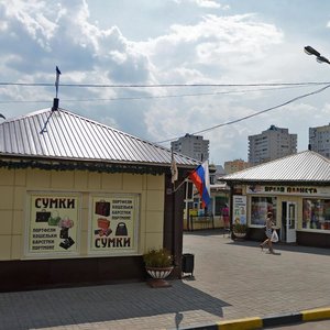 Vladimira Nevskogo Street, 48З/13, Voronezh: photo