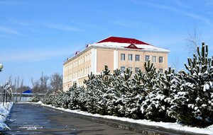 Ростовская область, Улица Горького, 11: фото