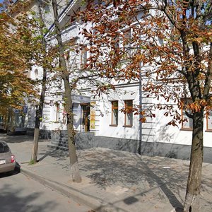 Yaroslava Mudroho Street, 13, Kharkiv: photo