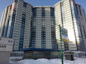Akademika Yangelya Street, 3, Moscow: photo