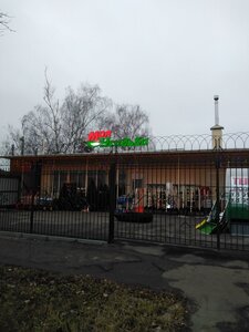 Борисоглебск, Матросовская улица, 37: фото