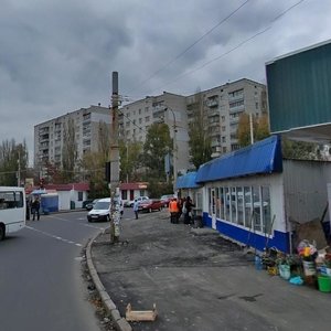 Zodchykh Street, 46, Kyiv: photo