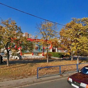 Mykoly Zakrevskoho Street, 29, Kyiv: photo