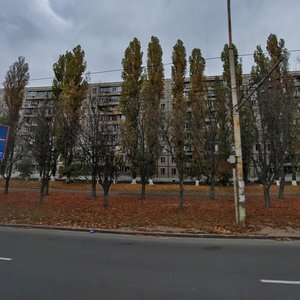 Lesia Kurbasa Avenue, 18, Kyiv: photo