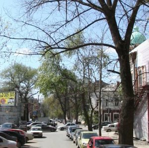 Suvorova Street, 87, Rostov‑na‑Donu: photo