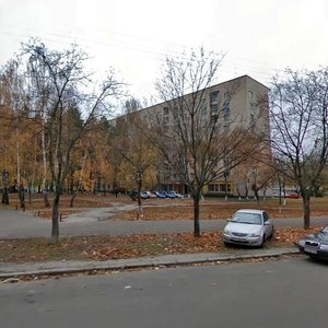 Kosmonavta Volkova Street, 10А, Kyiv: photo