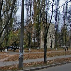 Akademika Korolova Street, 7, Kyiv: photo