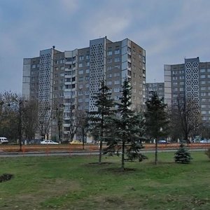 Heorhiia Honhadze Avenue, 4, Kyiv: photo