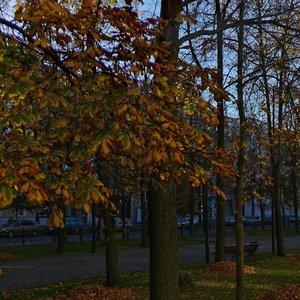 Витебск, Улица Кирова, 3: фото