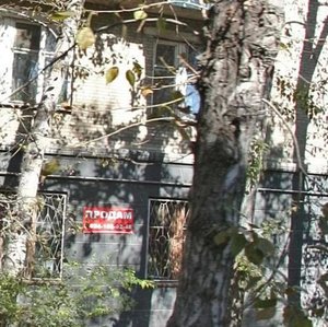 Molodogvardeyskaya Street, 6, : foto