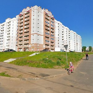 Кострома, Китицынская улица, 1: фото